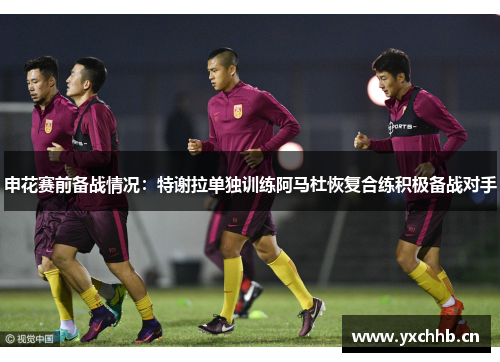 申花赛前备战情况：特谢拉单独训练阿马杜恢复合练积极备战对手